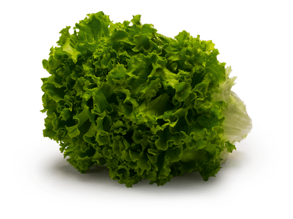 Dole Green Leaf Lettuce Vegetable