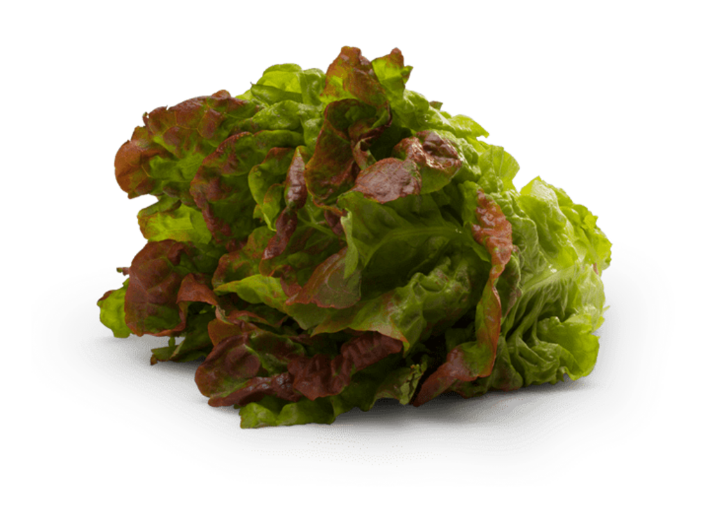 Dole Red Leaf Lettuce Vegetables