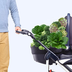 1A_DNN_fathers-and-folate1338x460