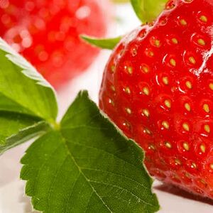 1A_DNN_Sensational-Strawberries1338x460