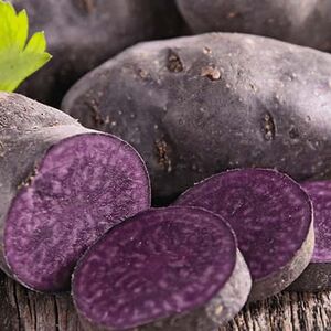 1A-Go_Further_with_Food-1338x460