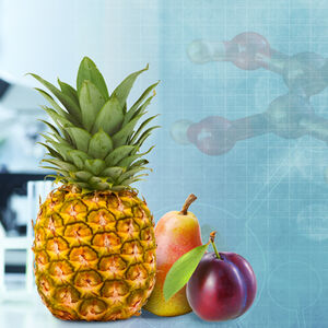 1A_Rethinking-antioxidants_1338x460