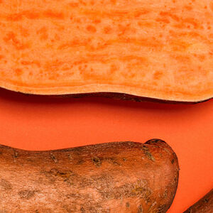 1A-Trend_Alert_Sweet_Potatoes-1338x460