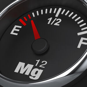 1B_more-magnesium-please_1338x460