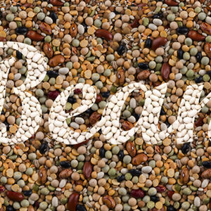 1C_DNN_bean-bonanza1338x460
