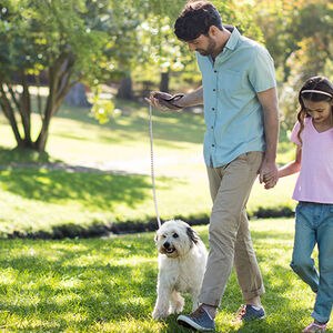 1C-Green_Does_A_Lot_of_Good-1338x460