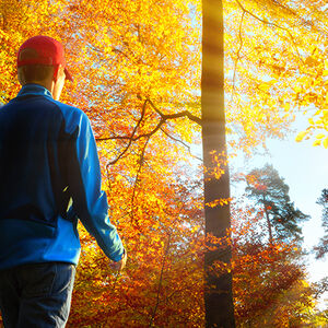 Tis the Season to Stay Fit