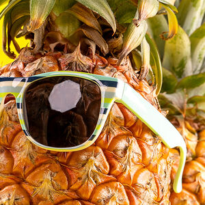 2A-Be-Our_Guest-1338x460