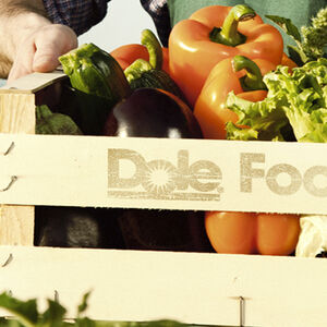 2A_whole-food-nutrition_1338x460