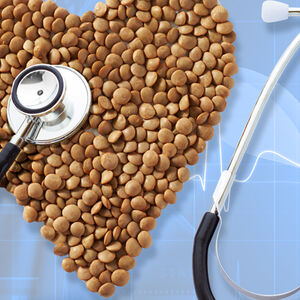 2B_DNN_lofty-legumes1338x460