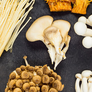 2B-Mushroom_Fever-1338x460