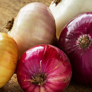 2B-Onions_Against_Ovarian_Cancer-1338x460