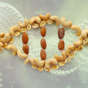 2B-Zinc_May_Protect_DNA-1338x460