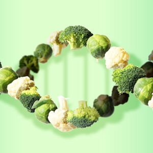 2C_DNN_put-your-green-genes-on_1338x460