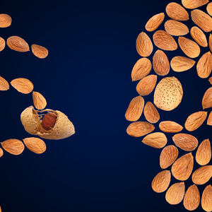Almonds-vs-Osteoporosis