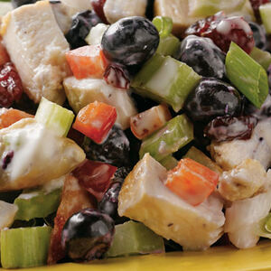 Blueberry-CranberryChickenSalad-1000x383