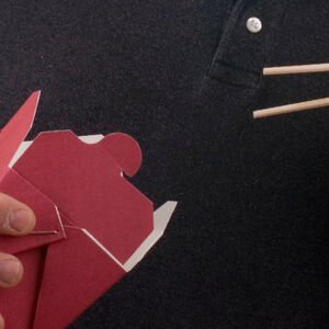 Can-MSG-Make-You-Fat