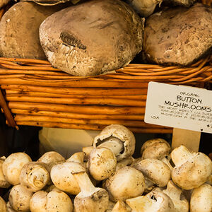 Celebrate-National-Mushroom-Month-1