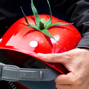 Eat_red_protect_head-1338x460