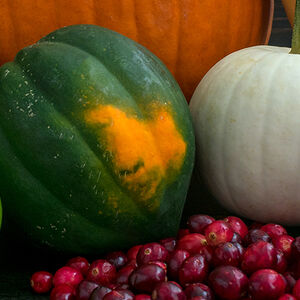 Fall for Fruits and Vegetables- web