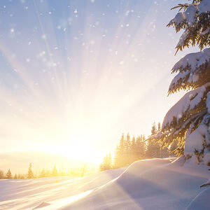 Featured_Article-Welcome_Winter-1338x460