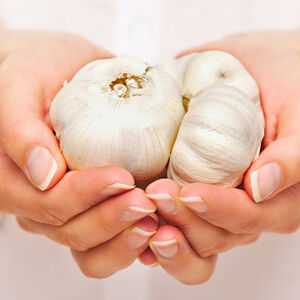 Garlic_lovers_rejoice-1338x460