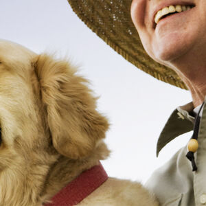 Get_Doggone_Healthy_1338x460