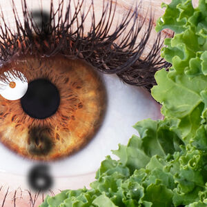 Kale_for_keen_vision-1338x460