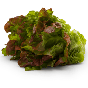 Dole Red Leaf Lettuce Vegetables