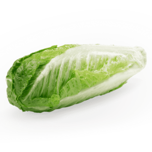 Dole Romaine Hearts Vegetables