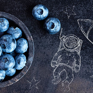 Space_age_berries-1338x460