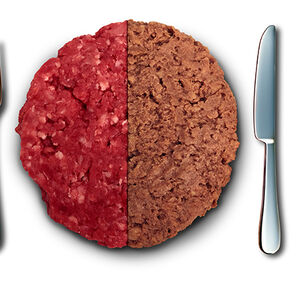 Taste Trumps ALL- website header