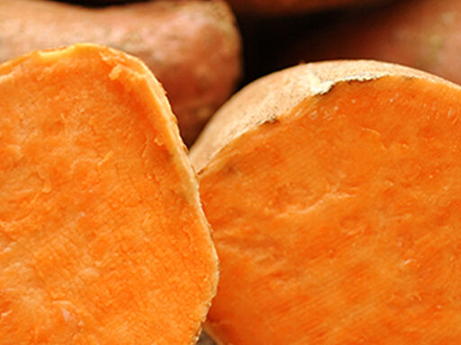 1A_DNN_Tubers_vs_Tuberculosis1338x460