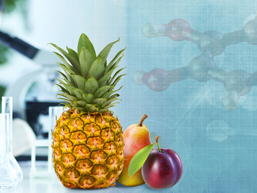 1A_Rethinking-antioxidants_1338x460