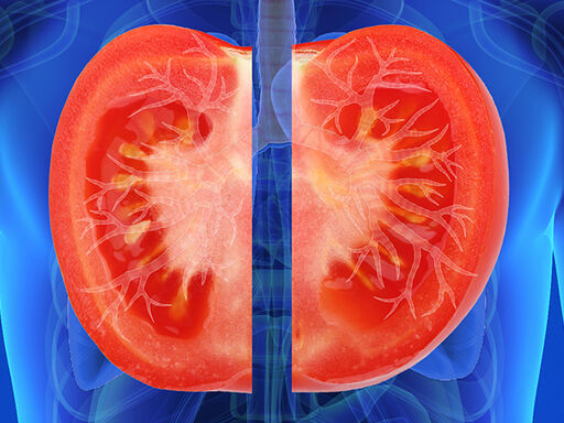 1A-Tomato_Time-1338x460_v1_current