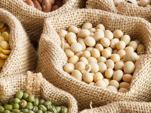 1B-Popular_Plant_Protein-1338x460