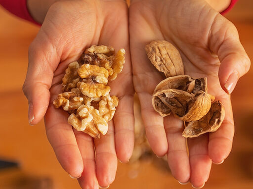 1B-The_Wondrous_Walnut-1338x460_v1_current