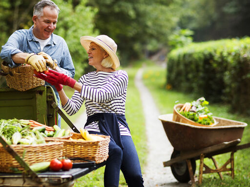 1C_go-long-with-f-v-1338x460