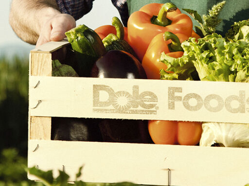 2A_whole-food-nutrition_1338x460