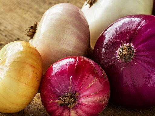 2B-Onions_Against_Ovarian_Cancer-1338x460