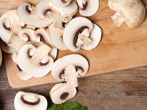 2B The Magic of Mushrooms