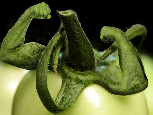 2C_DNN_green-power1338x460