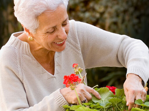 2C_DNN_meaning-vs-mortality-1338x460