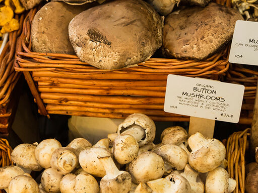 Celebrate-National-Mushroom-Month-1