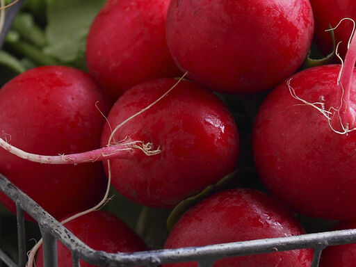 DNN_FA_1338x460_Cooking-with-spring-radishes