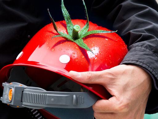 Eat_red_protect_head-1338x460