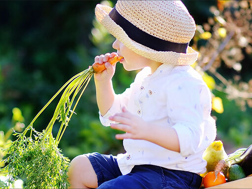 Eat_to_Beat_Eczema_1338x460-1d