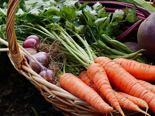 Fall for Phenology- web