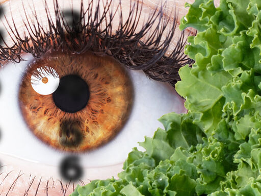 Kale_for_keen_vision-1338x460